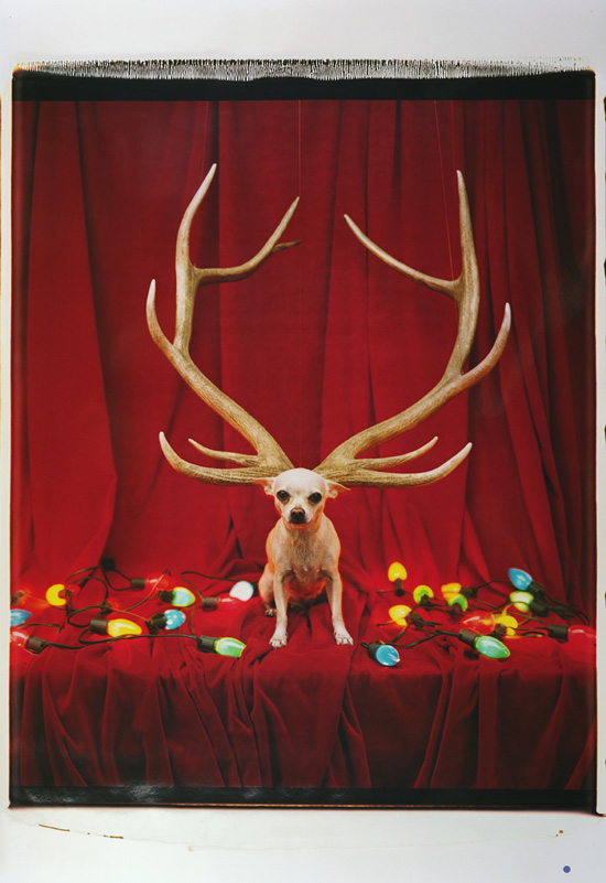Tim Burton. (American, b. 1958). Untitled (Christmas). 1997. Polaroid 83.8 x 55.9 cm. Private Collection. © 2009 Tim Burton
